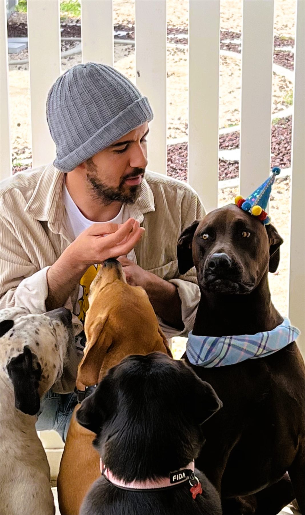 Ali surrounded by dogs during a birthday celebration