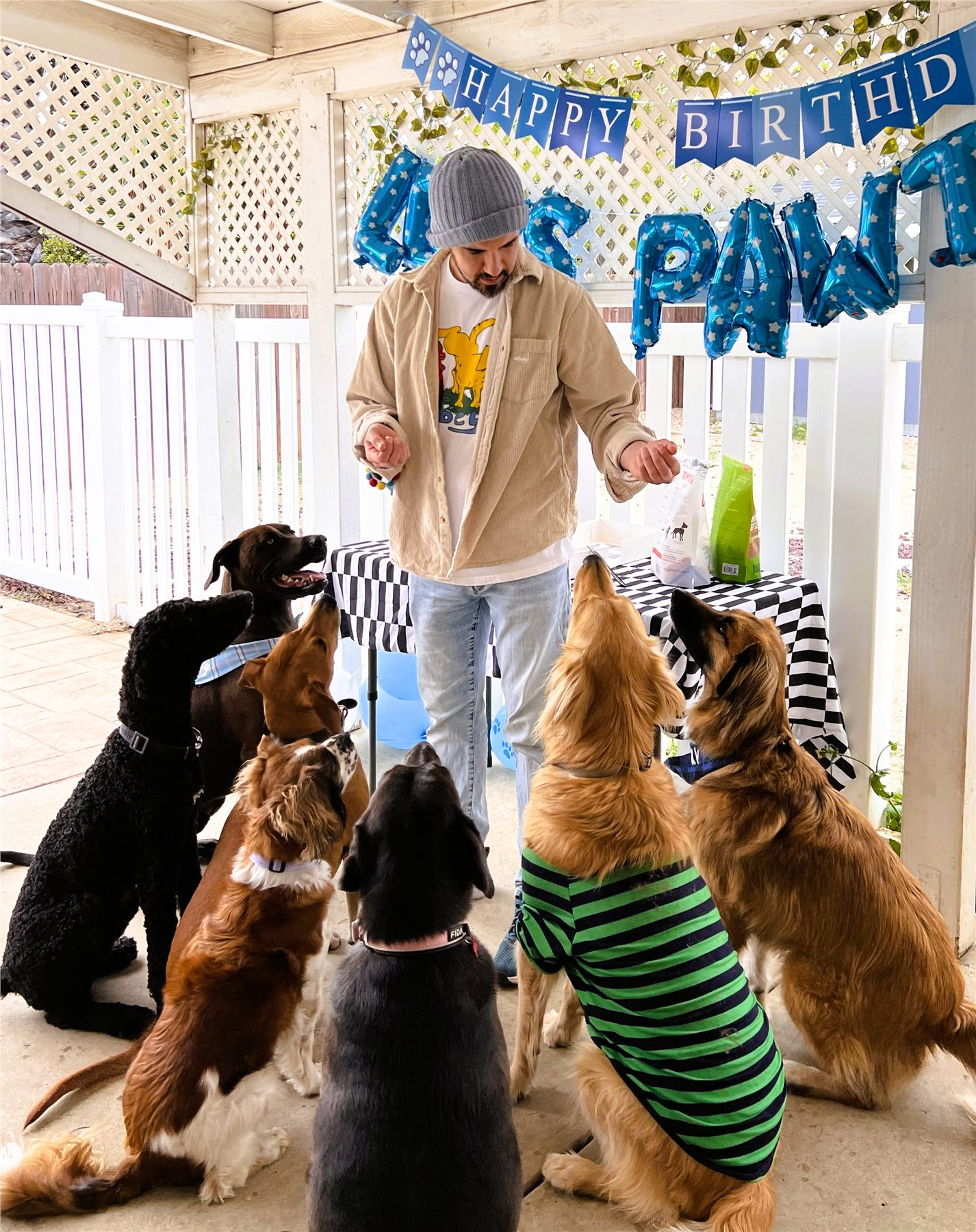 Ali surrounded by attentive dogs at a birthday celebration