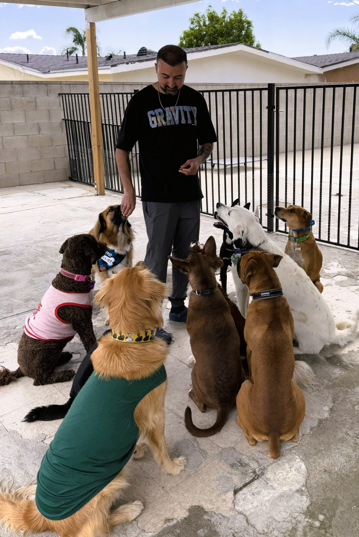 A YAY Doggy team member caring for a large, attentive group of dogs